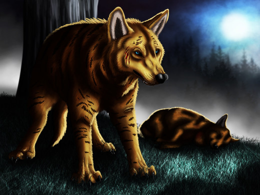 �962494 �������(a): ����������:4000x3000